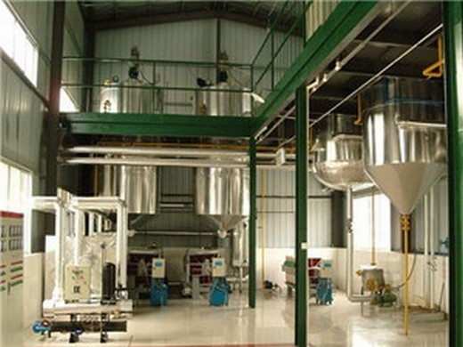 профессиональный процесс экстракции масла из рисовых отрубей предлагаемый маслобойным заводом