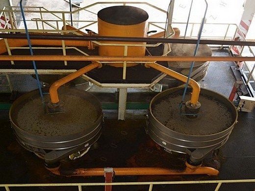 крупный маслозаводной бизнес по производству кокосового масла бизнес в Грузии