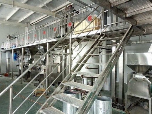 Рабочее видео машины для производства растительного масла производительностью 1-30 тонн в день