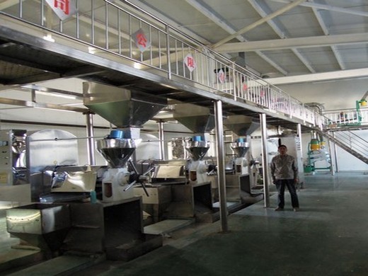 Производитель и поставщик машин для извлечения кунжутного масла в Կապան