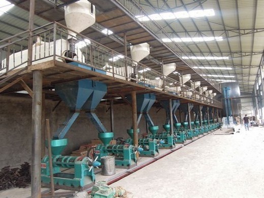 Машина для производства подсолнечного масла 10/500 тонн/день/большой масляный пресс в Таджикистане