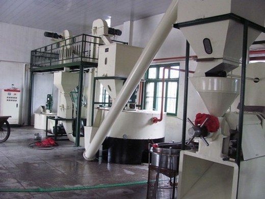 В Кыргызстан будет отправлена машина для экстракции рапсового масла производительностью 15 т/ч