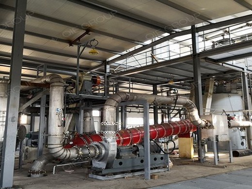 завод-поставщик крупномасштабной машины для прессования арахисового масла и арахиса в Узбекистане
