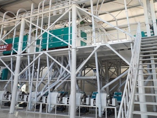 Проект завода по производству соевого масла под ключ мощностью 100 тонн в день в Таджикистане