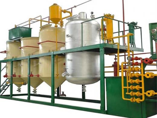 Казахстанская большая машина для переработки рапсового масла мощностью 1-2 тонны в день